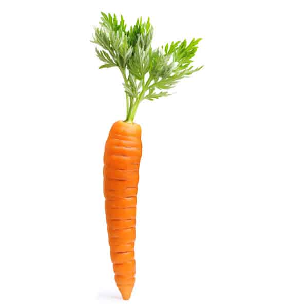Organic Carrot Extracts