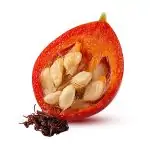Rosehip Fruit Extract