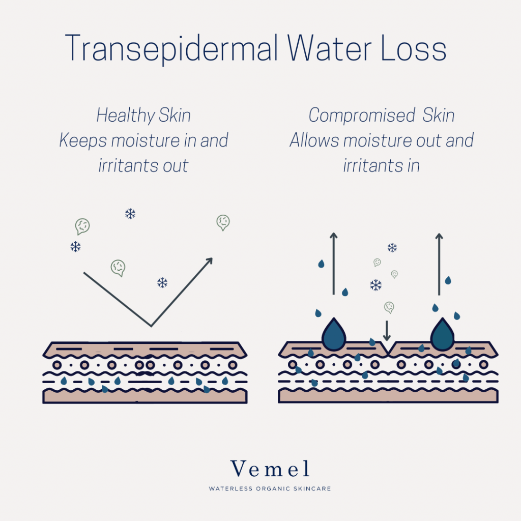 Transepidermal Water Loss What It Is and How to Stop It Vemel