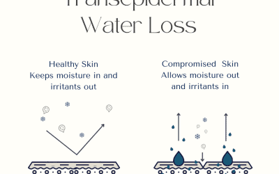 TRANSEPIDERMAL WATER LOSS – WHAT IT IS AND HOW TO STOP IT