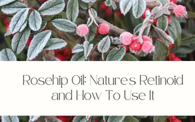 Rosehip Oil: Nature’s Retinoid and How To Use It