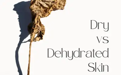 Dry Vs Dehydrated Skin – The Real Difference (and How To See Progress)