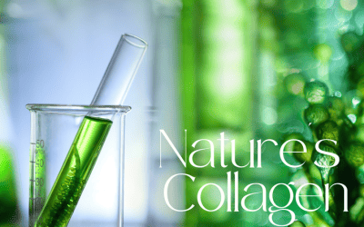 Nature’s Collagen: Unveiling the Power of Microalgae for Radiant Skin