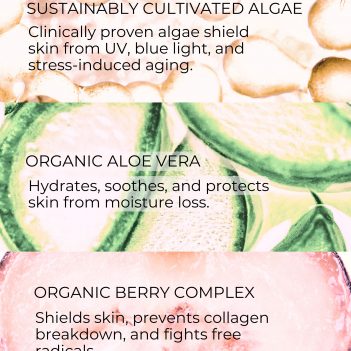 Organic antioxidant ingredients used in a waterless protective serum