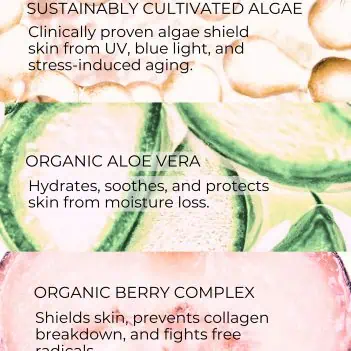 Organic antioxidant ingredients used in a waterless protective serum