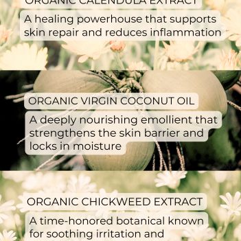 Organic botanical ingredients used in a fragrance-free skin barrier balm