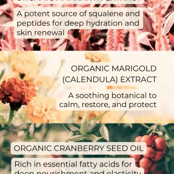 Organic body oil ingredients supporting skin barrier and hydration