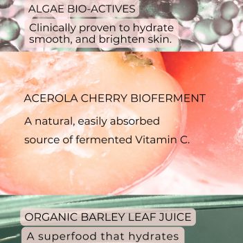 Organic Marine Algae (11)